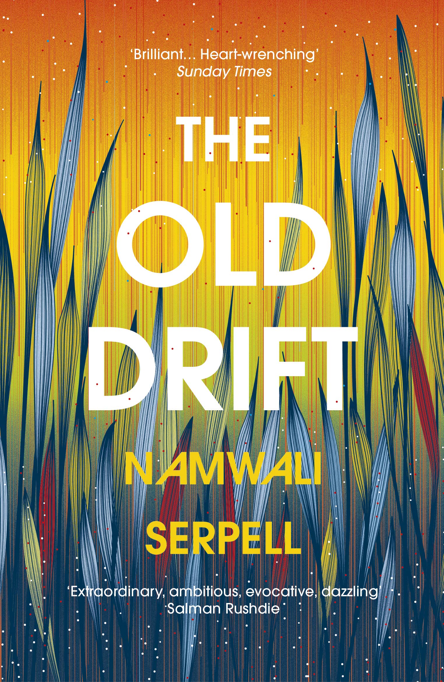'The Old Drift' by Namwali Serpell.