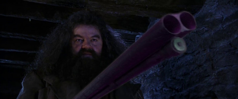 Hagrid pointing a shotgun at the Dursleys.