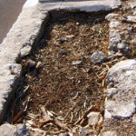 Empty graves and graves with in-tact covers.