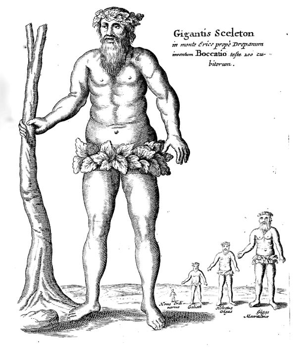 Diagram of the proportions of men to giants.